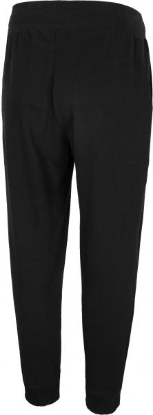 Брюки 4F H4L20-SPDD010-20S р. L черный