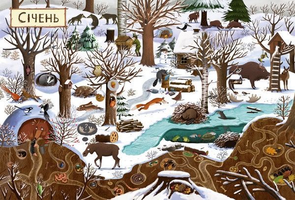 Книга Эмилия Дзюбак «Рік у лісі» 978-617-679-278-9