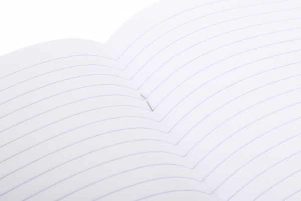 Тетрадь 24 листа линия 2023_2 Nota Bene