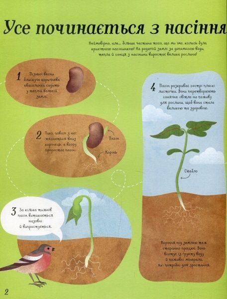 Книга Эмили Боун «Усе починається з насіння…як росте їжа» 978-617-7579-21-1