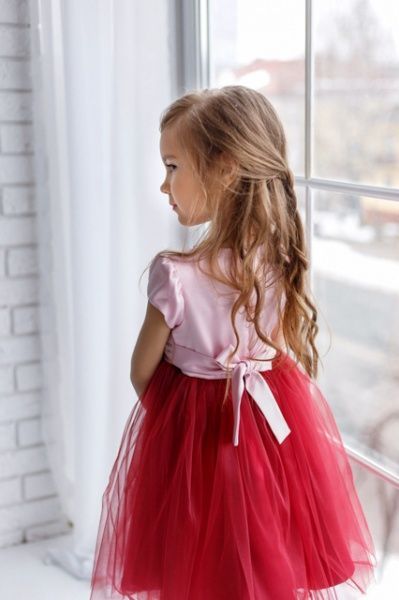 Сукня Sasha р.104 рожевий із бордовим 4094 