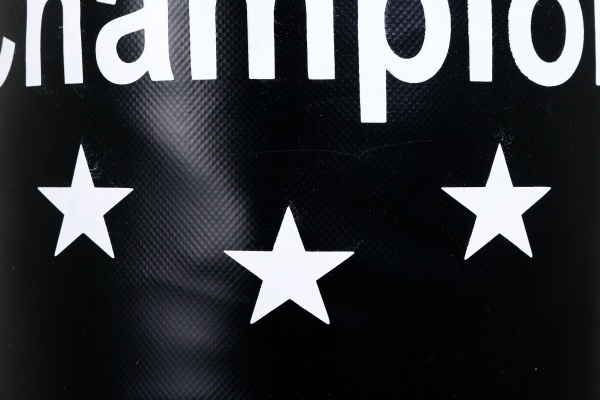 Боксерский мешок GF Champion CHM00713 70x28 см черный