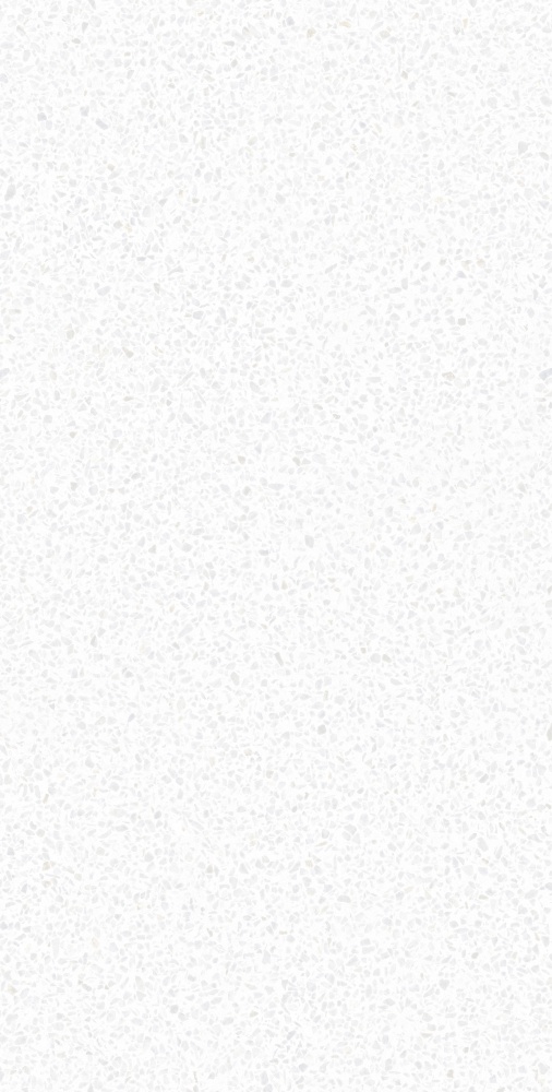 Плитка Allore Group Caspia White F P Satin 60x120 см