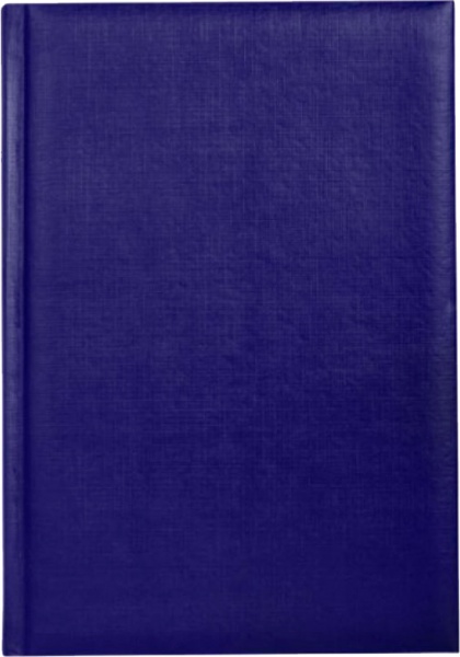 Дневник недатированный BASIC синий Economix A5