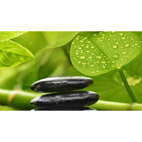 Декор Golden Tile Relax №3 494331 250x400 мм зелений