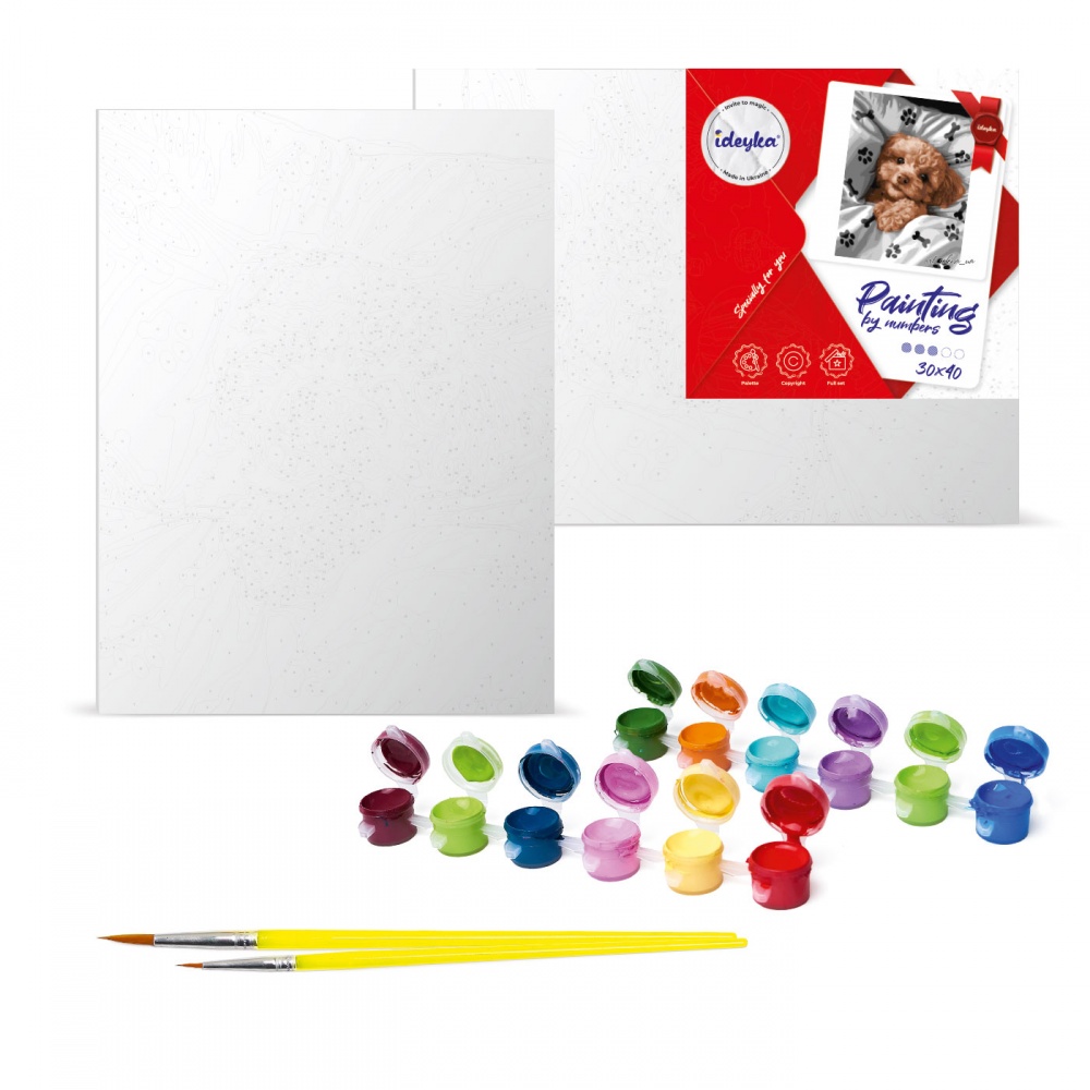 Картина за номерами Коргі в квітах 30x40 см Ідейка