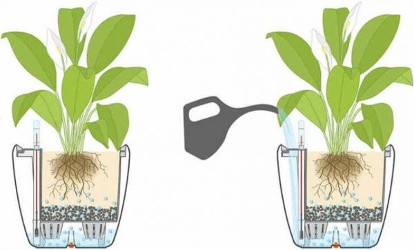 Вазон пластиковий Lechuza Classico Premium LS 28 круглий 19,9л кавовий (16041) 