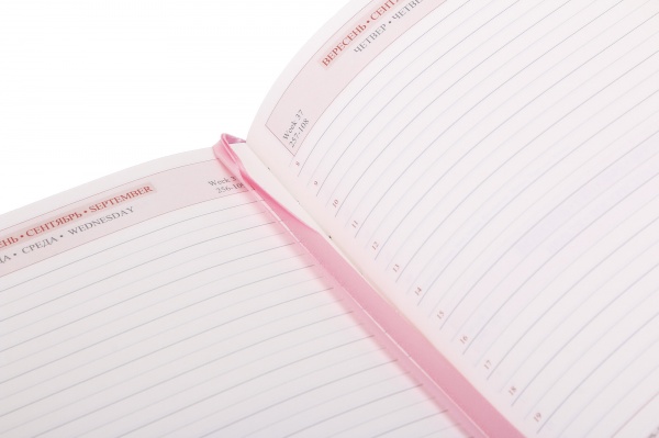 Щоденник датований City Leo Planner City A5 2023