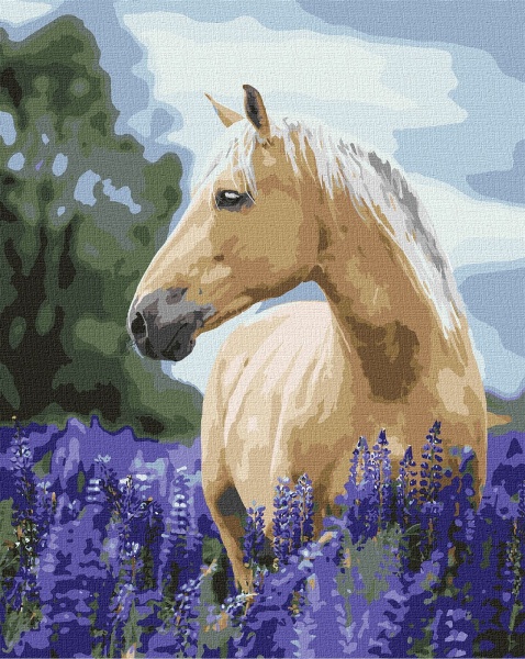 Картина по номерам Прогулка по лавандовому полю 40x50см Идейка 