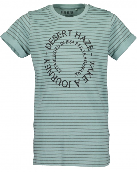 Футболка детские Blue Seven р.164 белый 602768 X_631_р.164 