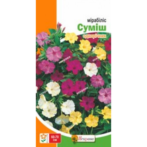 Семена Яскрава мирабилис смесь