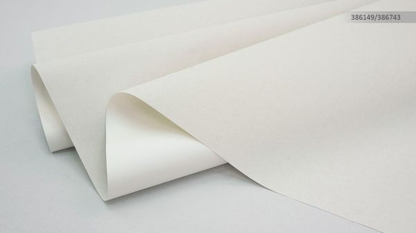 Шпалери вінілові на флізеліновій основі Sintra Eddy/Rosalinda UNI 386828 1,06x10,05 м 