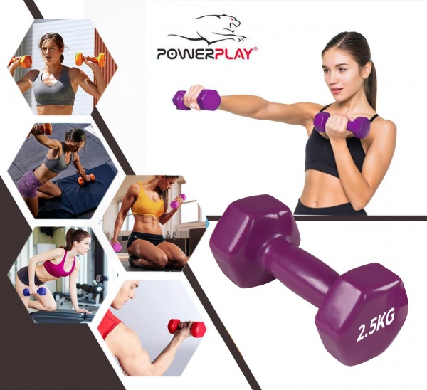 Гантель PowerPlay PP_4125_2.5kg 2,5 кг фіолетовий 