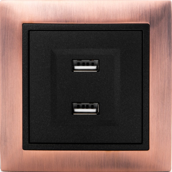 Розетка USB подвійна LXL Tesla TLXL3533A графіт 8536699090