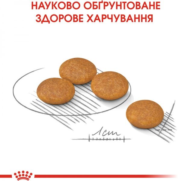 Корм Royal Canin для собак MINI DERMACOMFORT (Міні Дермакомфорт), 3 кг