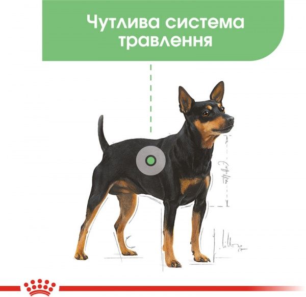 Консерва Royal Canin для собак DIGESTIVE CARE LOAF (Ол Сайзес Дайджестів Кер), пауч, 85 г