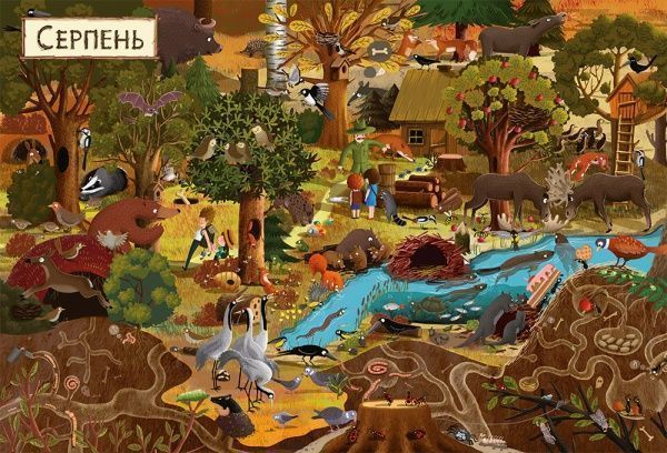 Книга Эмилия Дзюбак «Рік у лісі» 978-617-679-278-9