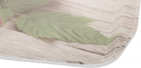 Поднос Macaroons 40,5х29х2,7 см Flamberg