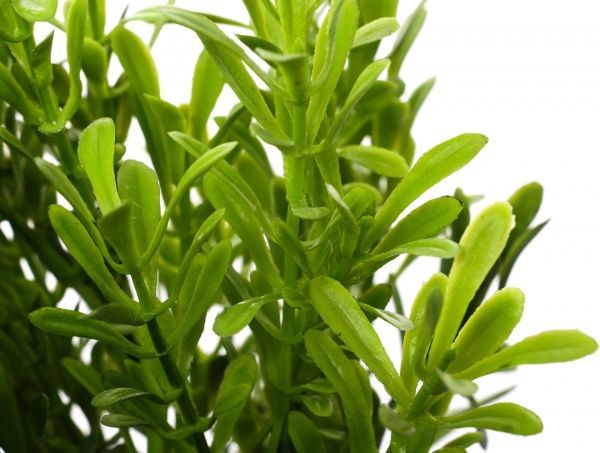 Растение искусственное Очанка HONGYE A5-03564#