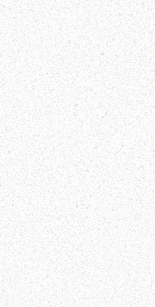 Плитка Allore Group Caspia White F P Satin 60x120 см