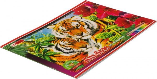 Альбом для рисования А4 20 листов на скобе Mandarin