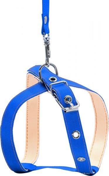 Поводок-шлея Collar капроновая 1,4х130 см синий