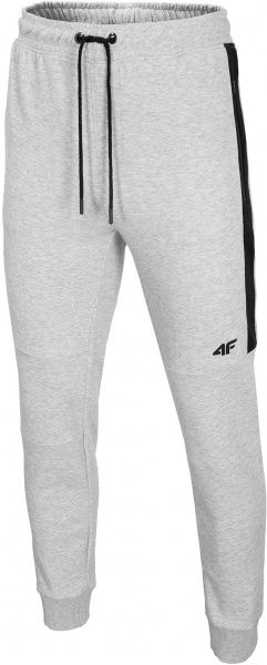 Брюки 4F H4L20-SPMD002-27M р. S светло-серый