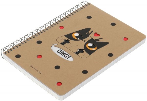 Зошит шкільний А5 96 аркушів у клітинку A5-SC-096-6078K Student Школярик