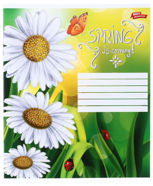 Тетрадь школьная с глитером 18 листов в линейку в ассортименте Мечты сбываются