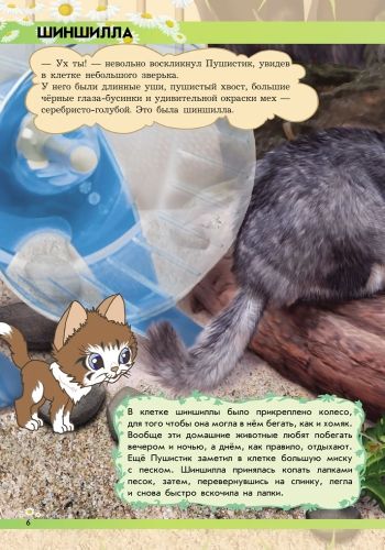 Книга Анна Макулина «Світ тварин: От хомячка до динозавра» 978-617-09-2460-5