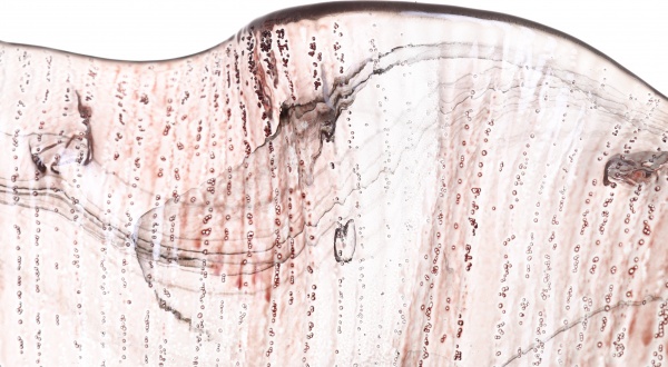 Фруктовниця Morena 44х19 см Antonio Tammaro 