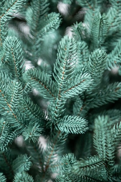 Штучна ялинка Віденська 1,10 м блакитний