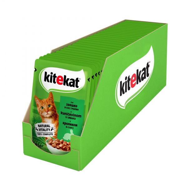 Корм для котів Kitekat в соусі з лососем 85 г