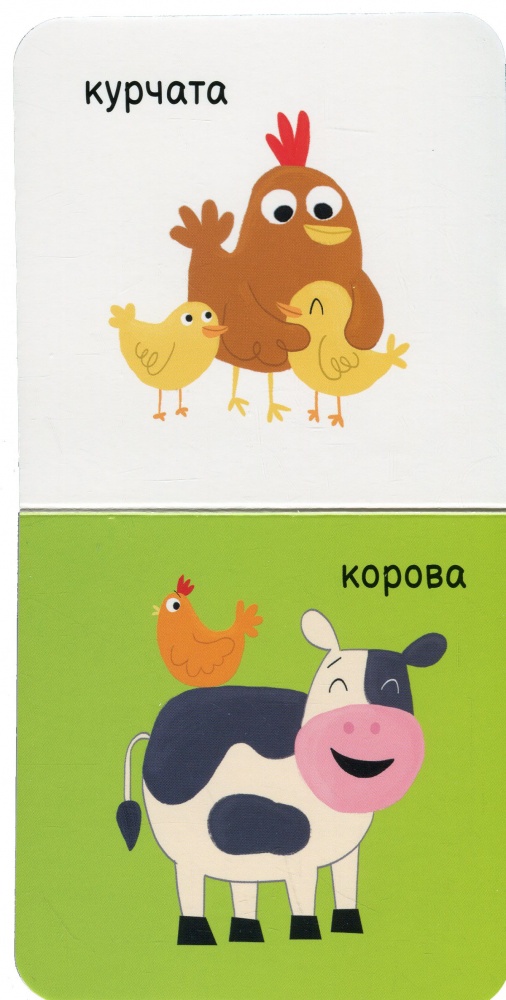 Книга «Моя ферма» 978-617-09-8959-8