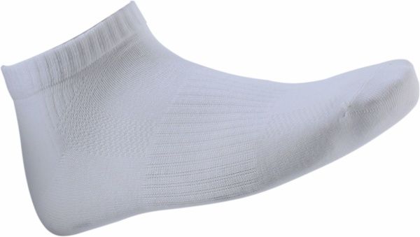 Шкарпетки БЧК ACTIVE 007 р. 25 білий 