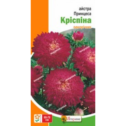 Семена Яскрава астра принцесса Криспина