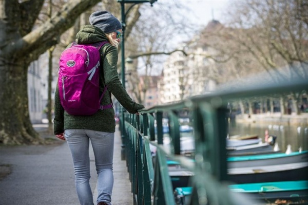 Рюкзак Osprey Daylite Plus Dream Purple 009.2475 20 л