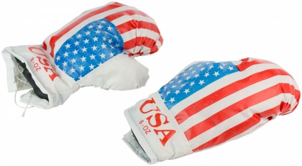 Набір боксерський Danko Toys Америка малий DT B1