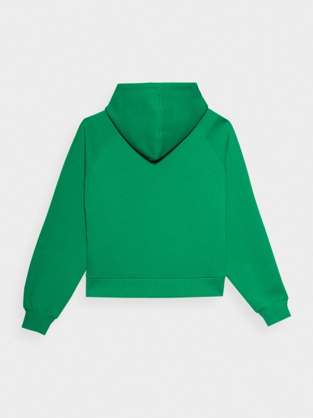 Джемпер 4F SWEATSHIRT F0863 4FSS23TSWSF0863-41S р.L зеленый