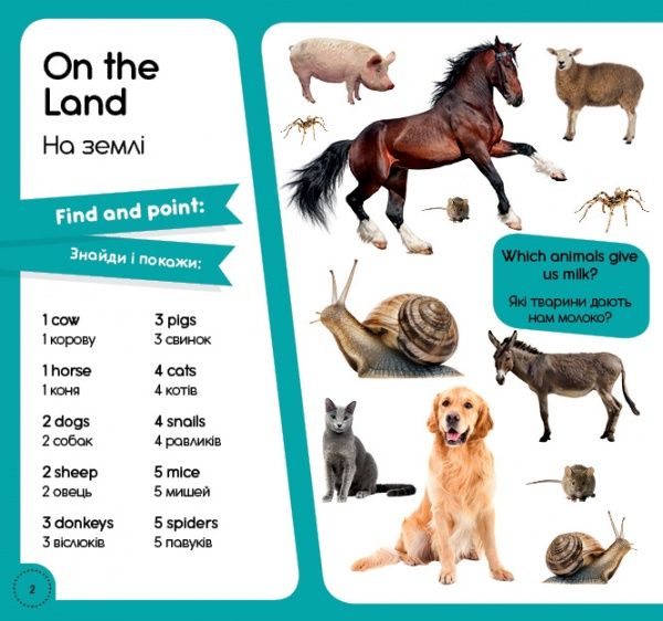 Книга «Книга 100 слів про тварин світу / 100 words about animals of the World»