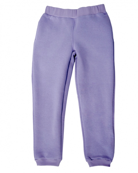 Штаны детские WP Merchandise р.152 сиреневый FWPPANTSCH22LL152 