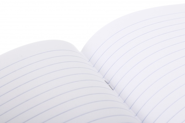 Тетрадь школьная Graffiti 24 листы линия Nota Bene