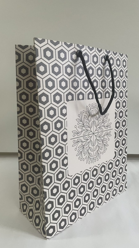 Пакет Пакет L, вертикальний, 24*32*10, картон, колір в асортименті