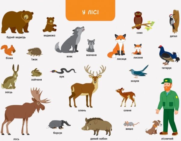 Книга «Книга Ура, мы заговорили! Кто и где?» 978-617-09-4645-4