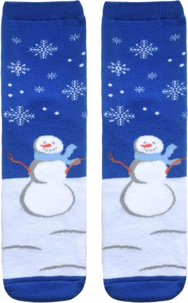 Шкарпетки жіночі Conte бавовняні арт. 52-105 Лапландія 261 р. 25 синій 1 пар 