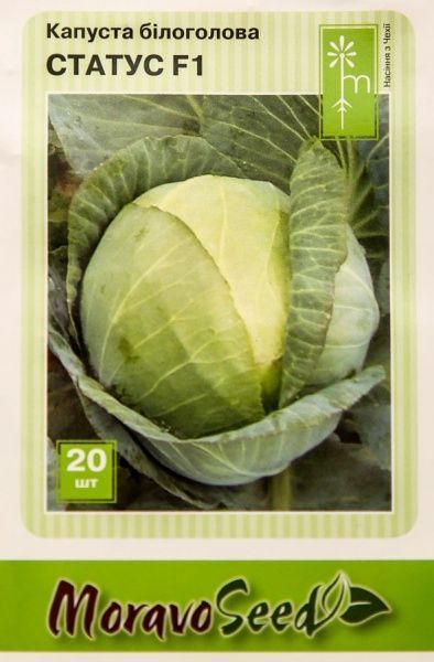 Насіння MoravoSeeds капуста білоголова Статус 20 шт.