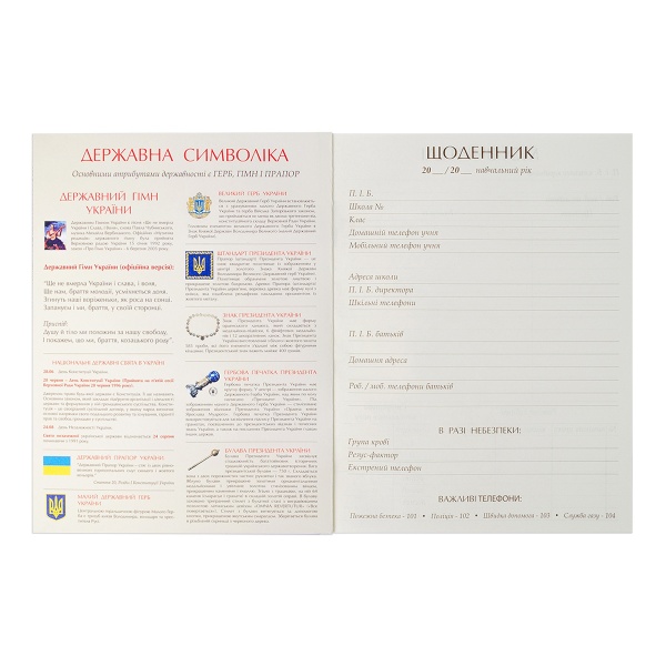 Дневник школьный Player иридиум 911231 YES