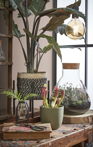 Вазон керамічний Edelman Tusca 19,5 см круглий 4,23 л зелений оливковий (1051614) 