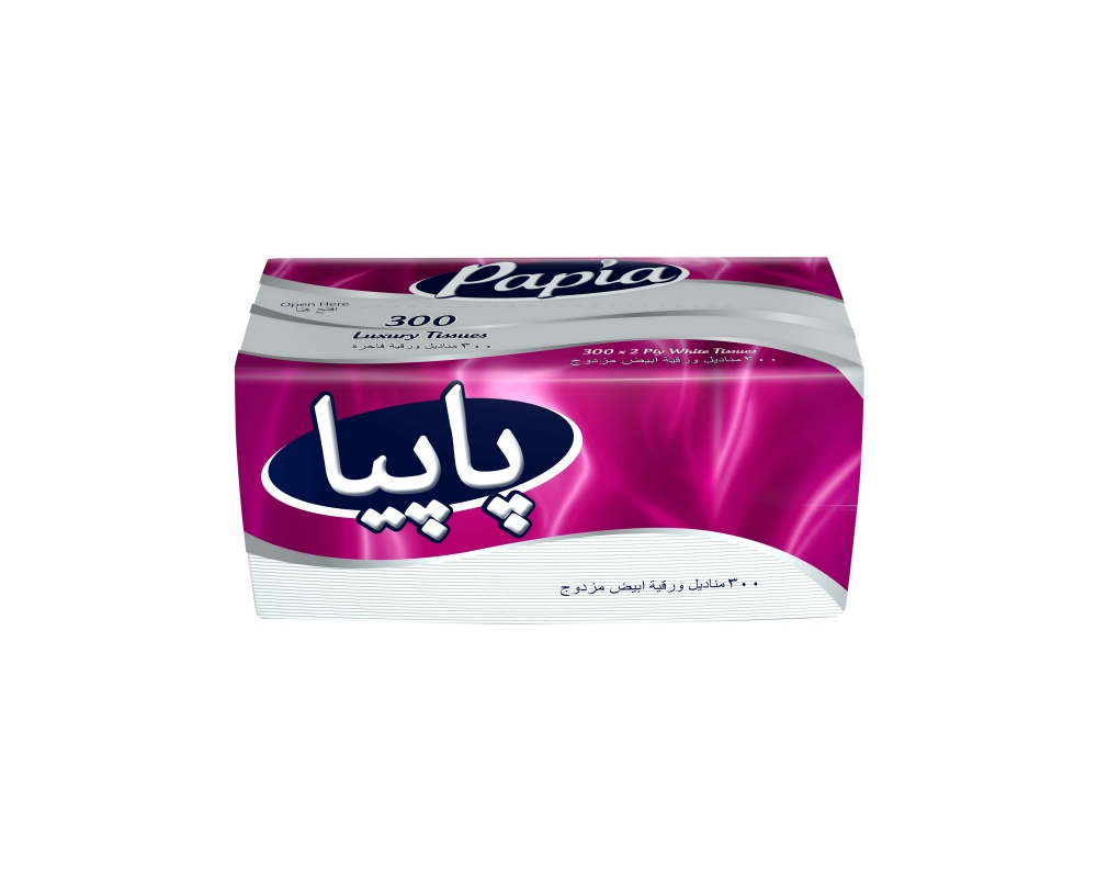 Салфетки гигиенические PAPIA 2 слоя 300 шт.
