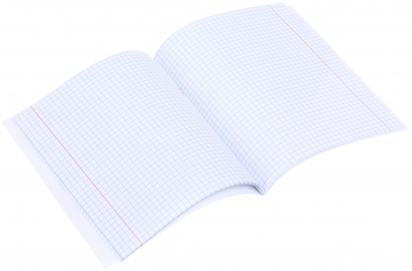 Тетрадь общий тематический 48 листов в ассортименте Мечты сбываются